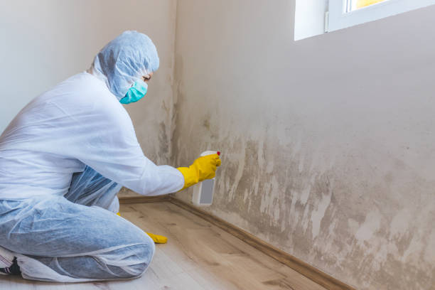 Licensed Mold Testing service in Cumberland, MD - WQB Mold Removal
