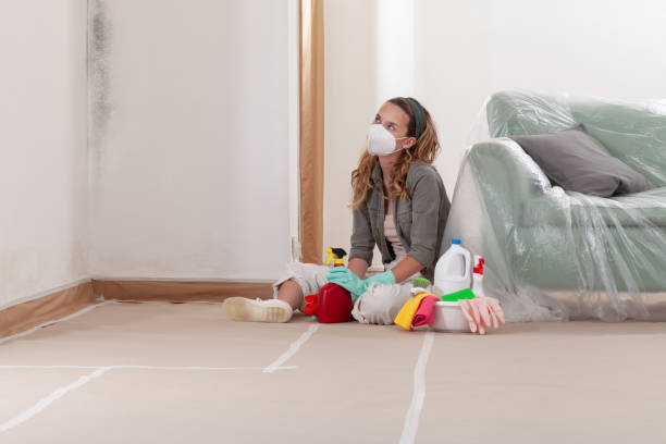 Reliable Mold Testing contractor in Cumberland, MD by WQB Mold Removal